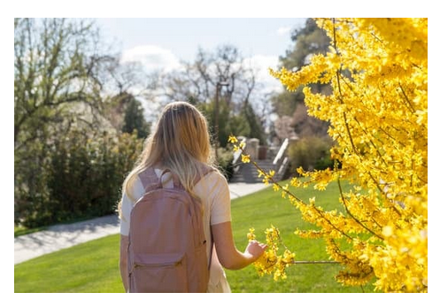 Student with backpack walking outside and touching flowering tree